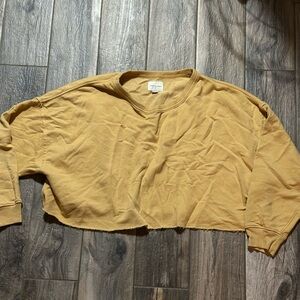 American Eagle Outfitters Golden Cropped Sweatshirt